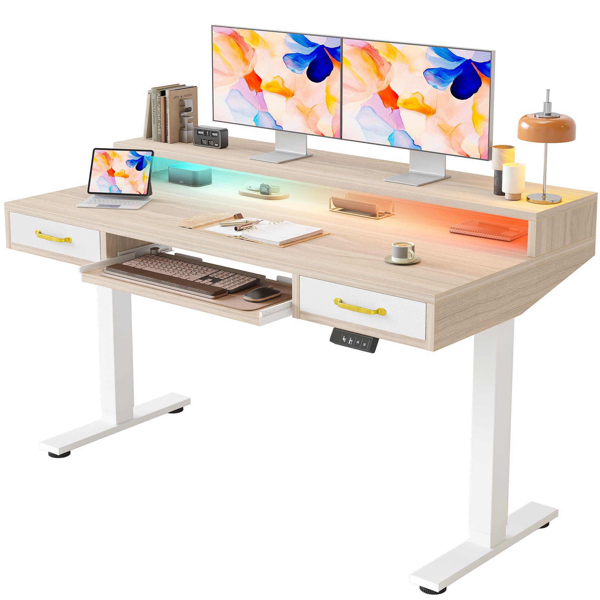 TIQLAB Standing Desk with Two Drawers, Stand Up Standing Desk Adjustable Height, Electric Sit Stand Table with Storage Shelf and Splice Board, 48 * 24 inch, Maple