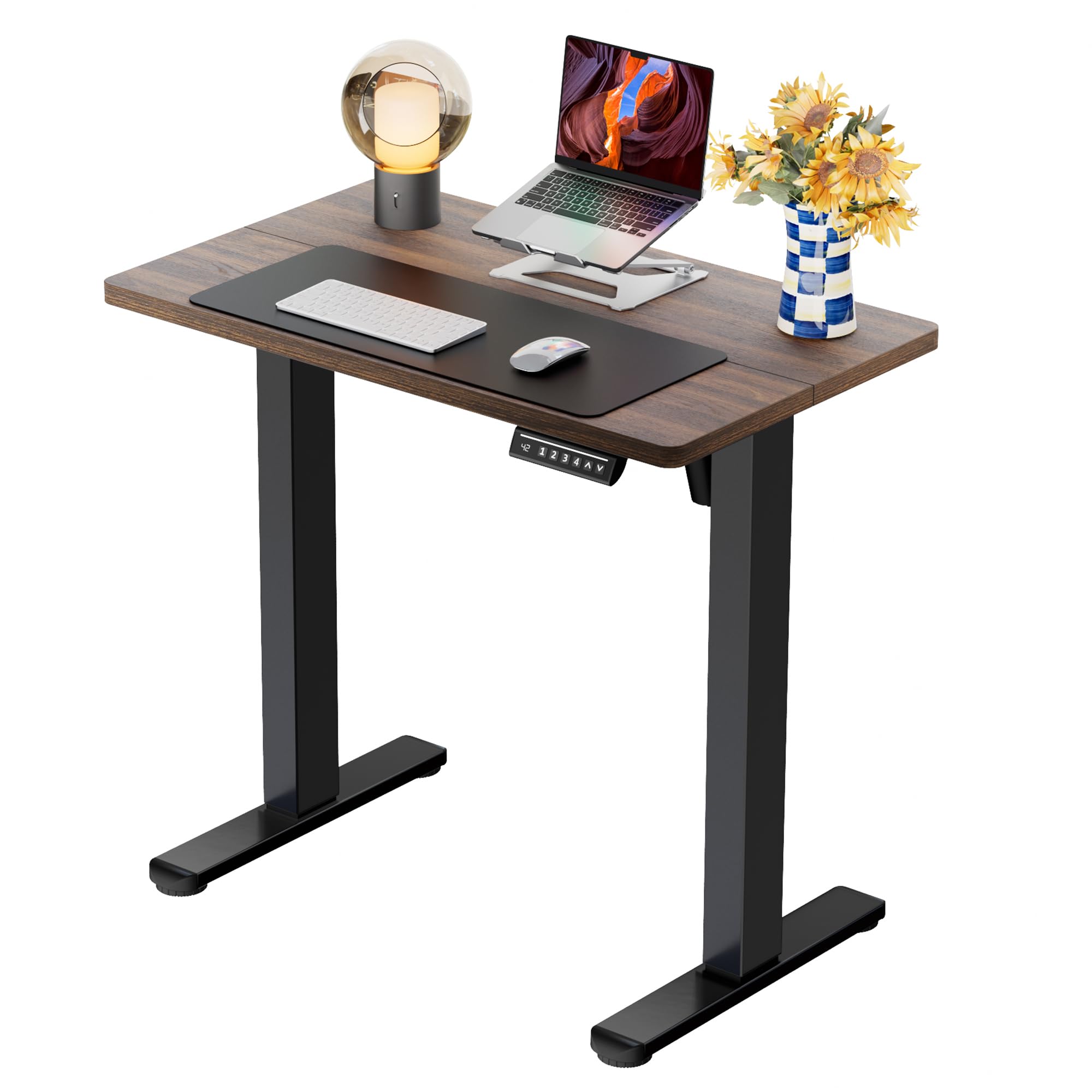 ErGear Height Adjustable Electric Standing Desk, 48 x 24 Inches Sit Stand up Desk, Memory Computer Home Office Desk, White