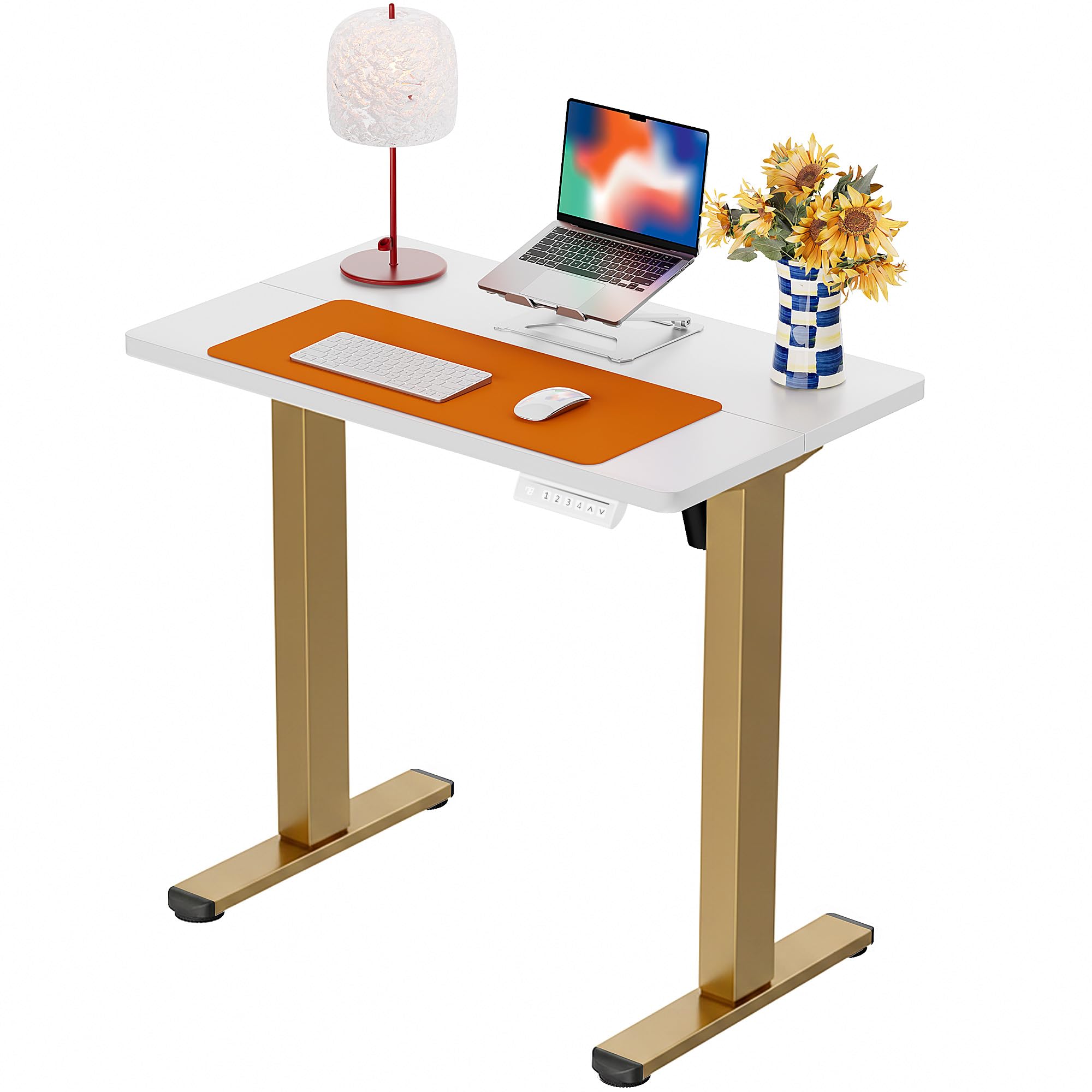 ErGear Height Adjustable Electric Standing Desk, 48 x 24 Inches Sit Stand up Desk, Memory Computer Home Office Desk, White