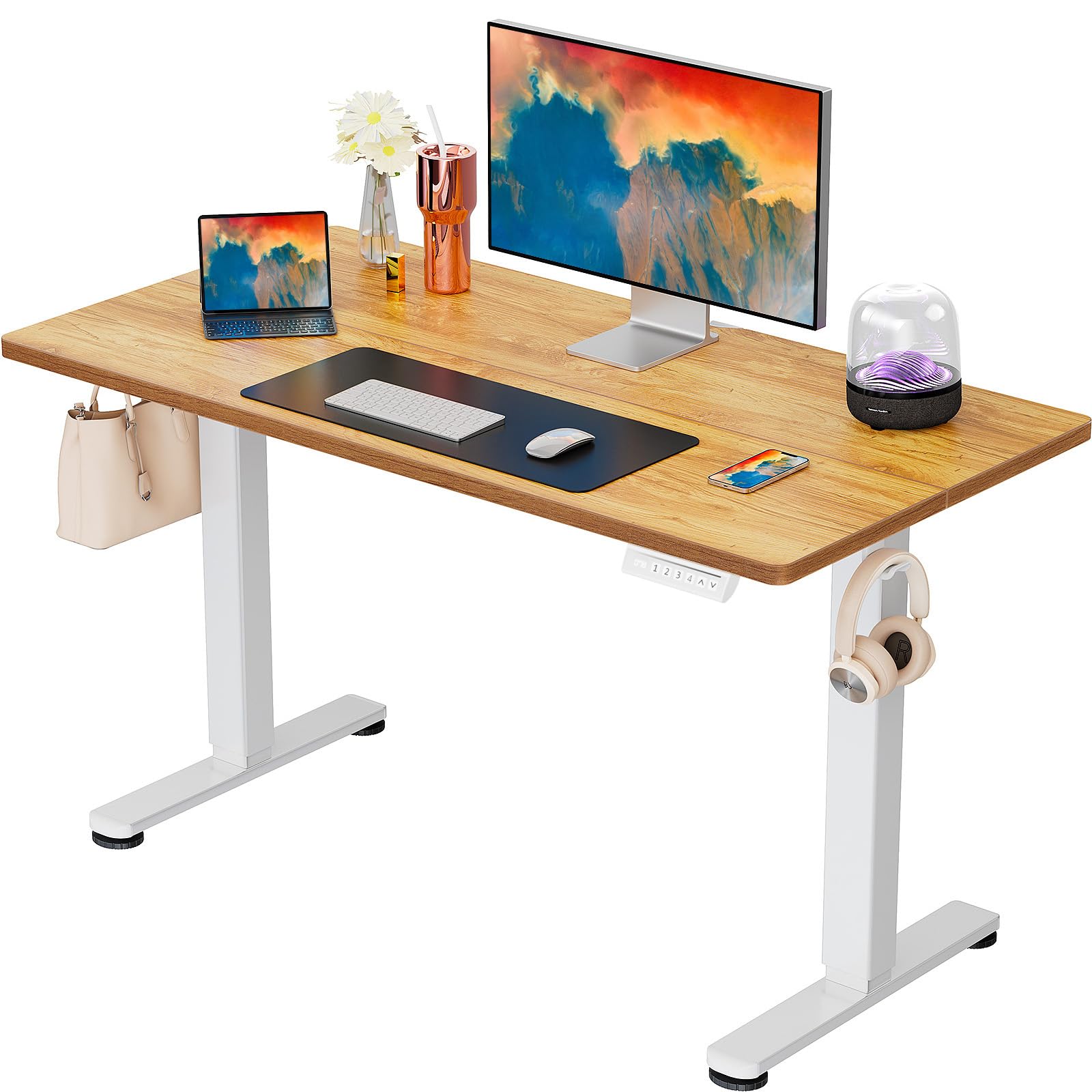 ErGear Height Adjustable Electric Standing Desk, 48 x 24 Inches Sit Stand up Desk, Memory Computer Home Office Desk, White