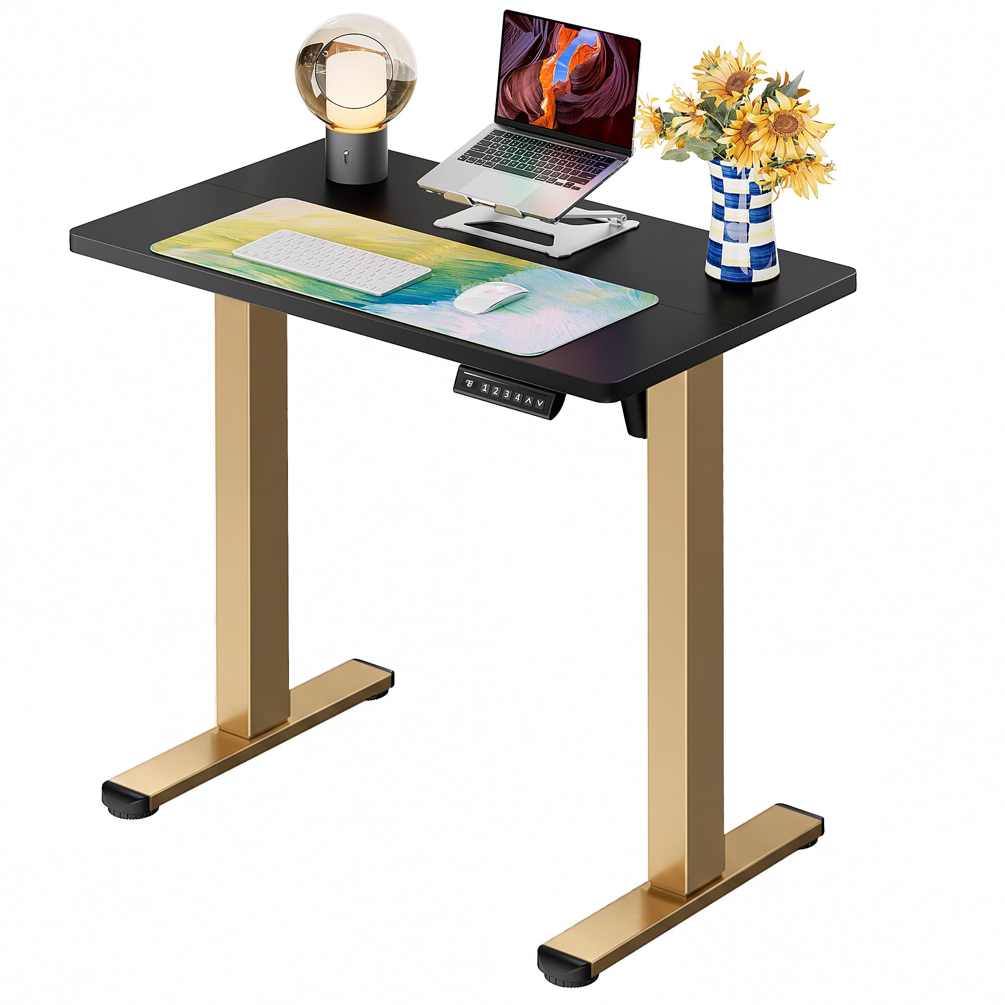 ErGear Height Adjustable Electric Standing Desk, 48 x 24 Inches Sit Stand up Desk, Memory Computer Home Office Desk, White