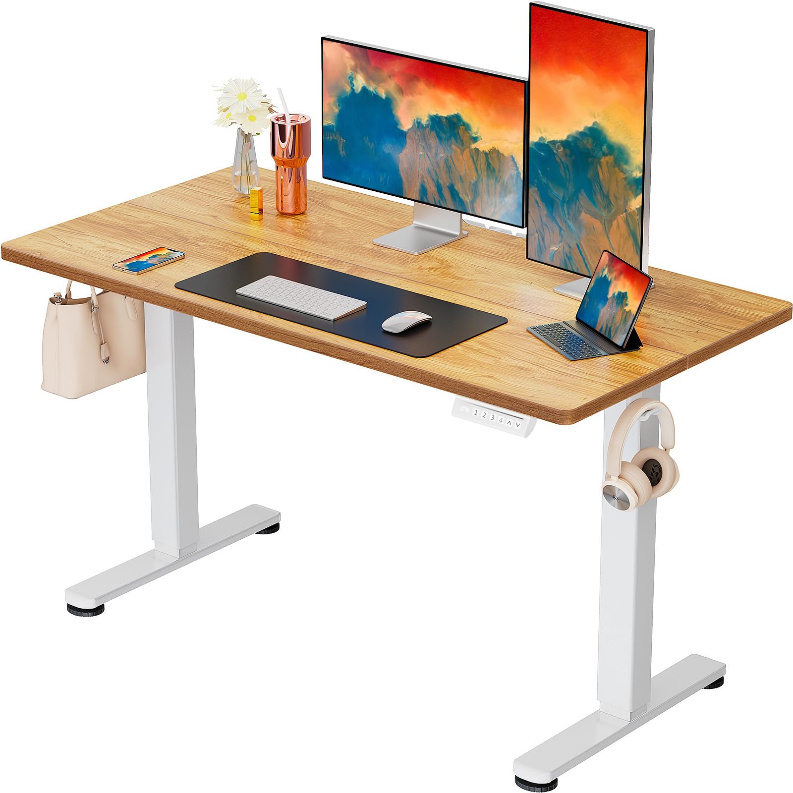 ErGear Height Adjustable Electric Standing Desk, 48 x 24 Inches Sit Stand up Desk, Memory Computer Home Office Desk, Black