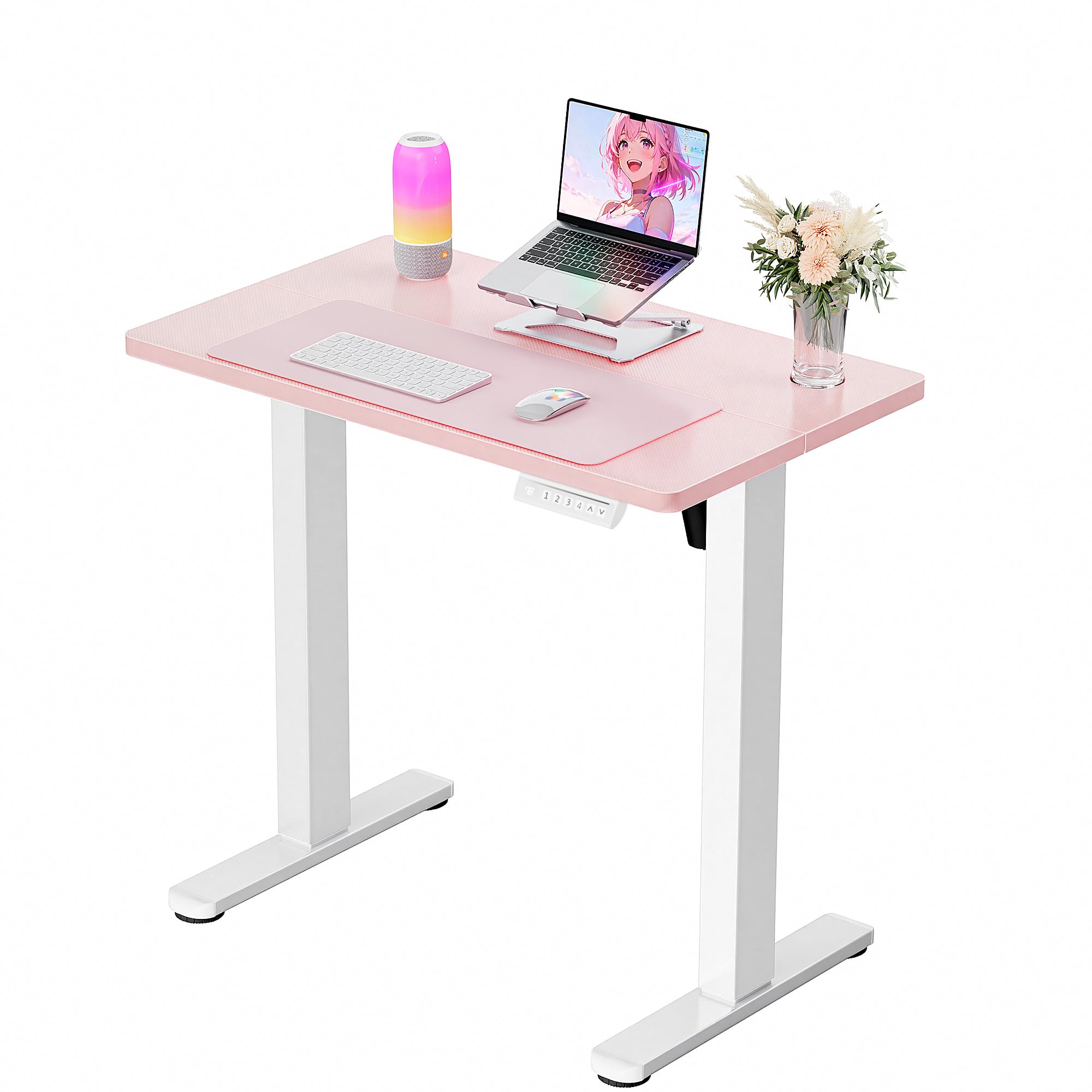 ErGear Height Adjustable Electric Standing Desk, 48 x 24 Inches Sit Stand up Desk, Memory Computer Home Office Desk, White