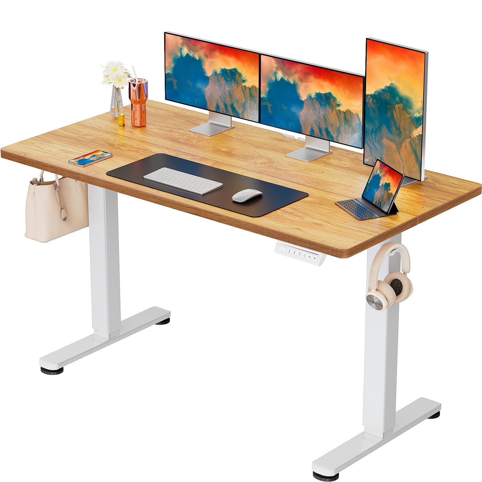 ErGear Height Adjustable Electric Standing Desk, 48 x 24 Inches Sit Stand up Desk, Memory Computer Home Office Desk, Black