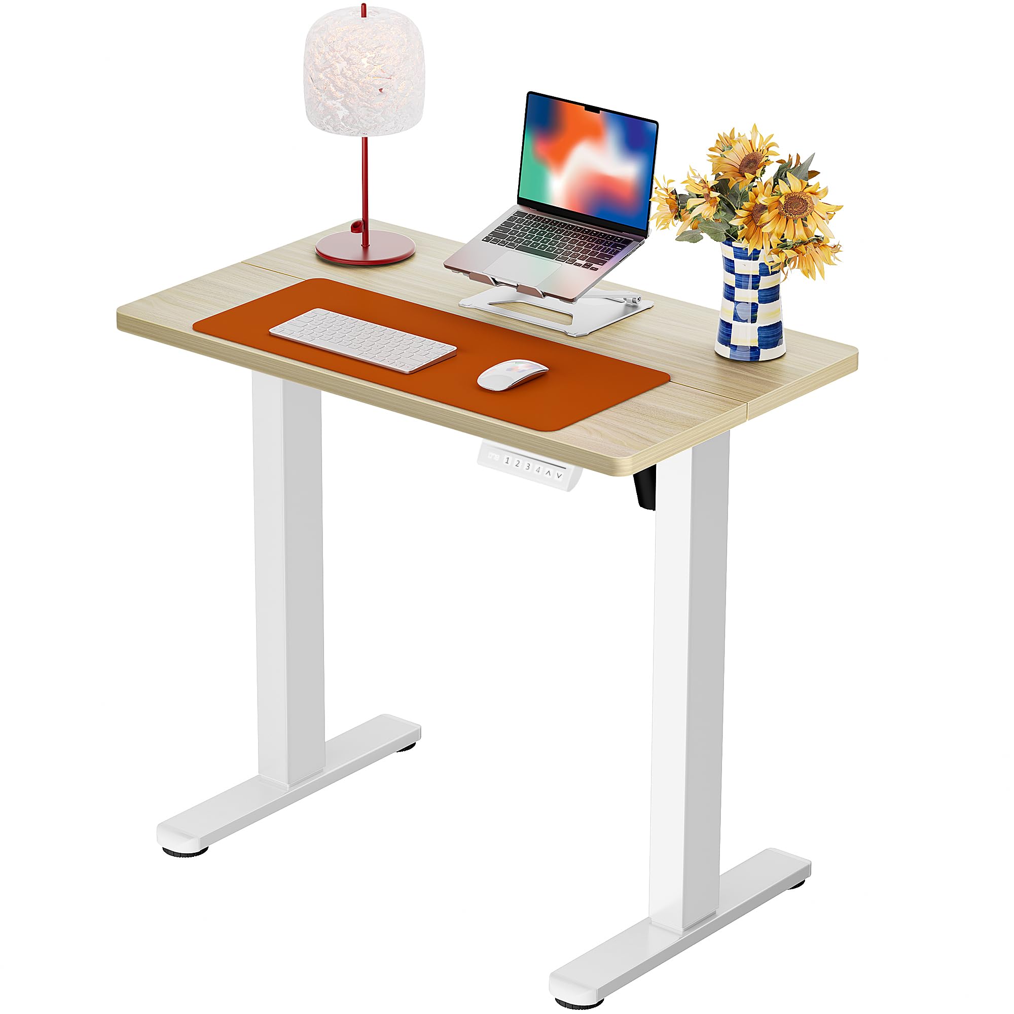 ErGear Height Adjustable Electric Standing Desk, 48 x 24 Inches Sit Stand up Desk, Memory Computer Home Office Desk, Black