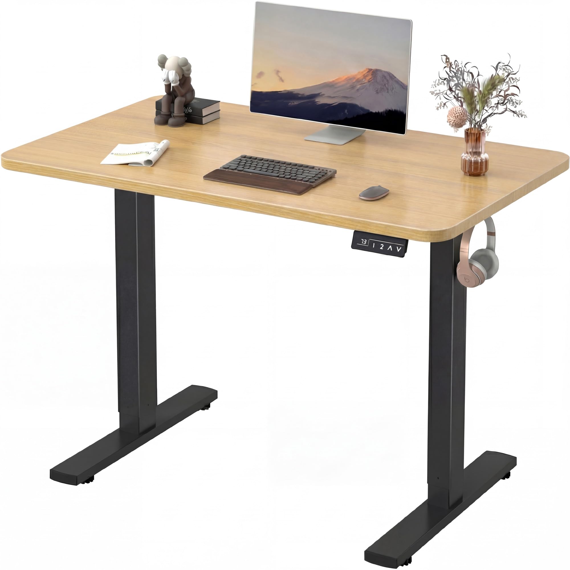 Furmax 55 x 24 Inches Electric Height Adjustable Standing Desk Large Sit Stand Up Desk Home Office Computer Desk Memory Preset with T-Shaped Metal Bracket, Black