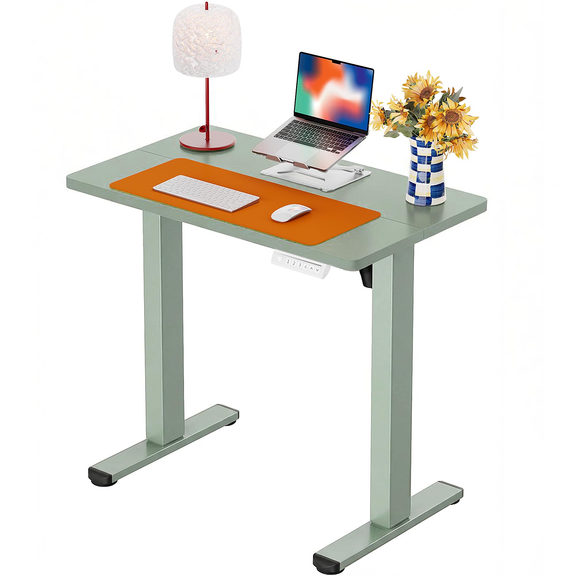 ErGear Height Adjustable Electric Standing Desk, 48 x 24 Inches Sit Stand up Desk, Memory Computer Home Office Desk, White