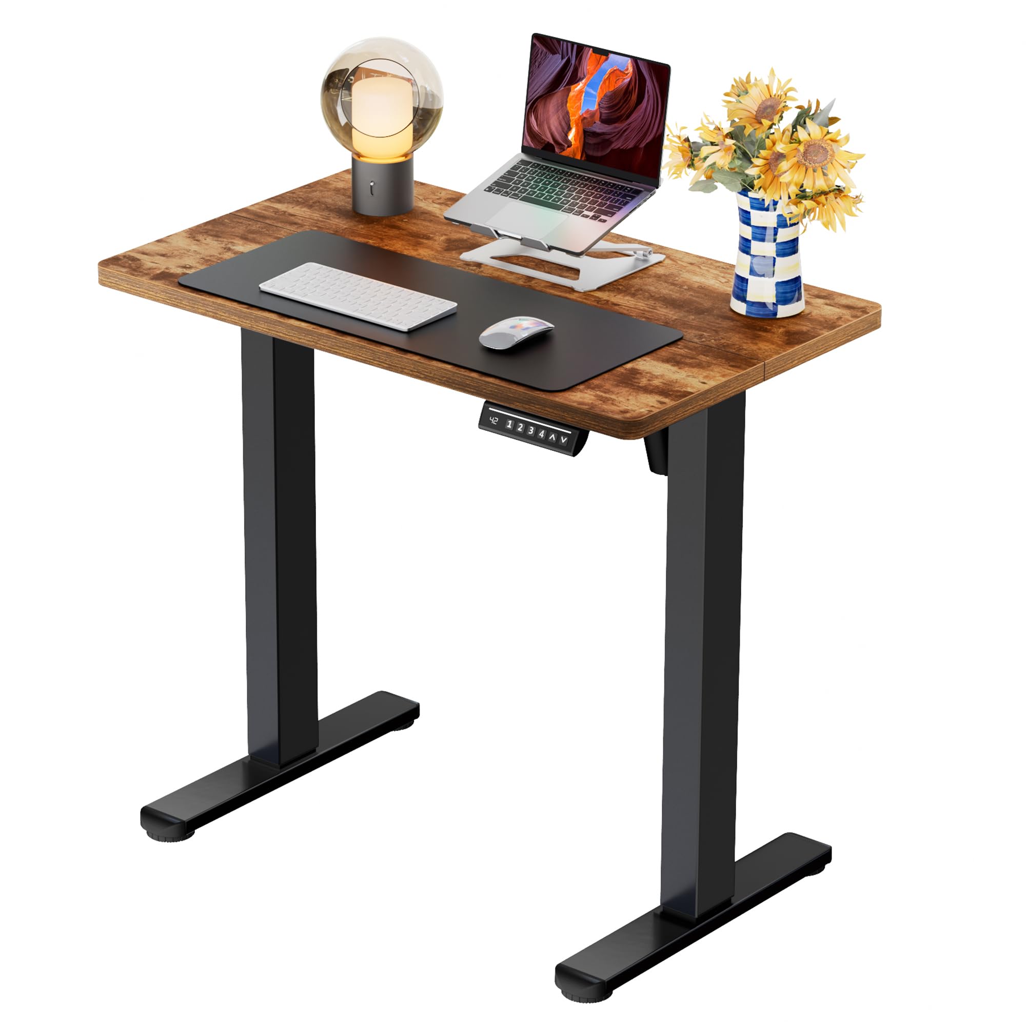 ErGear Height Adjustable Electric Standing Desk, 48 x 24 Inches Sit Stand up Desk, Memory Computer Home Office Desk, White