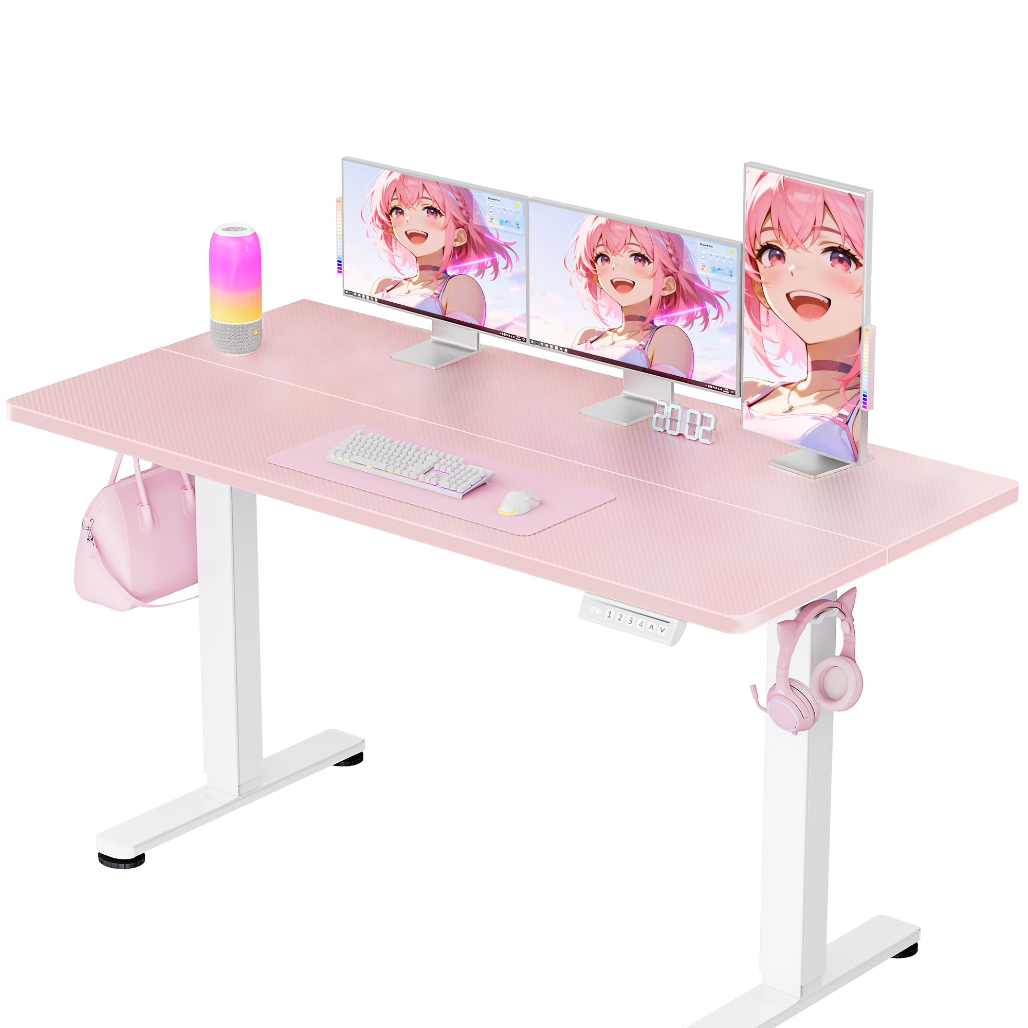 ErGear Height Adjustable Electric Standing Desk, 48 x 24 Inches Sit Stand up Desk, Memory Computer Home Office Desk, White