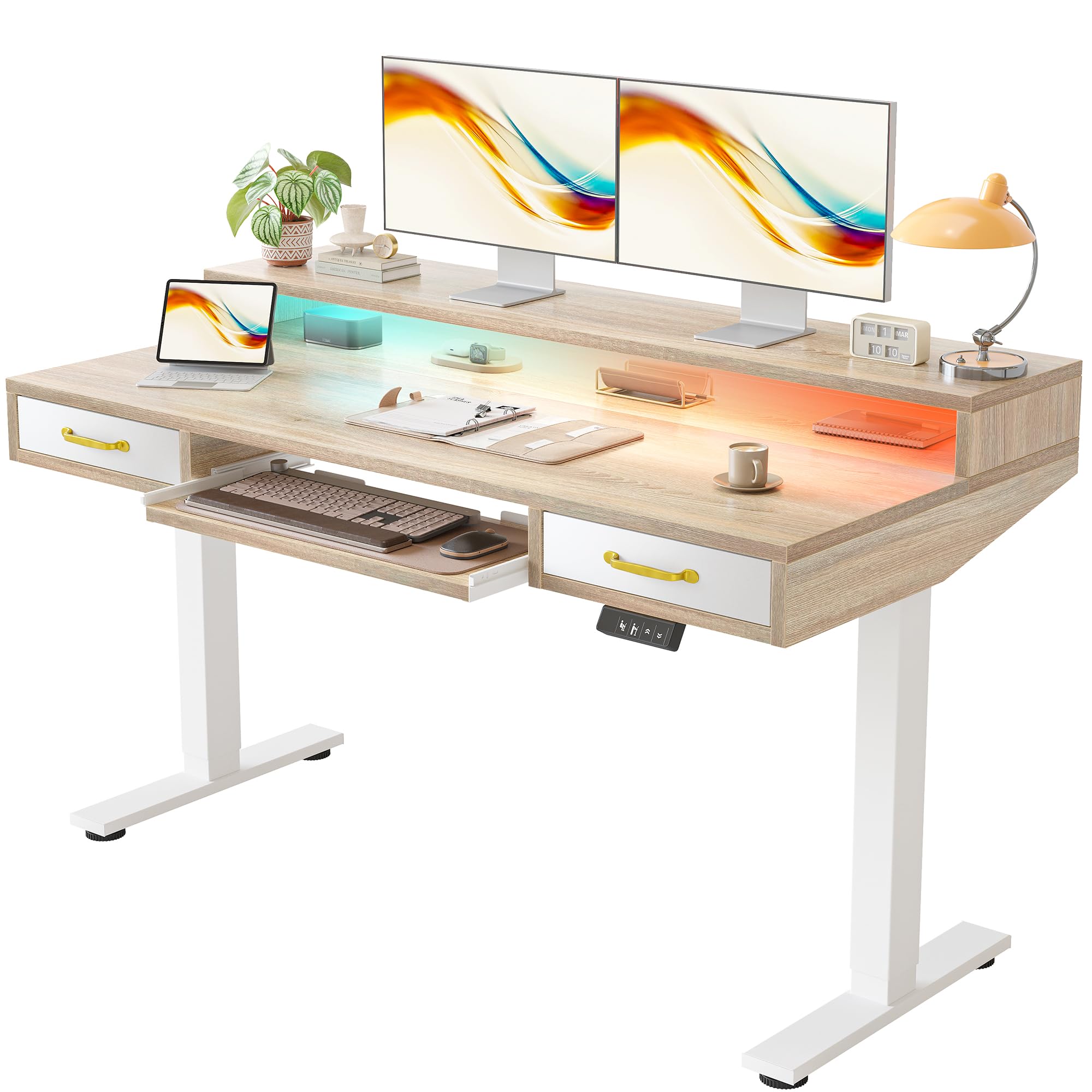 TIQLAB Standing Desk with Two Drawers, Stand Up Standing Desk Adjustable Height, Electric Sit Stand Table with Storage Shelf and Splice Board, 48 * 24 inch, Maple
