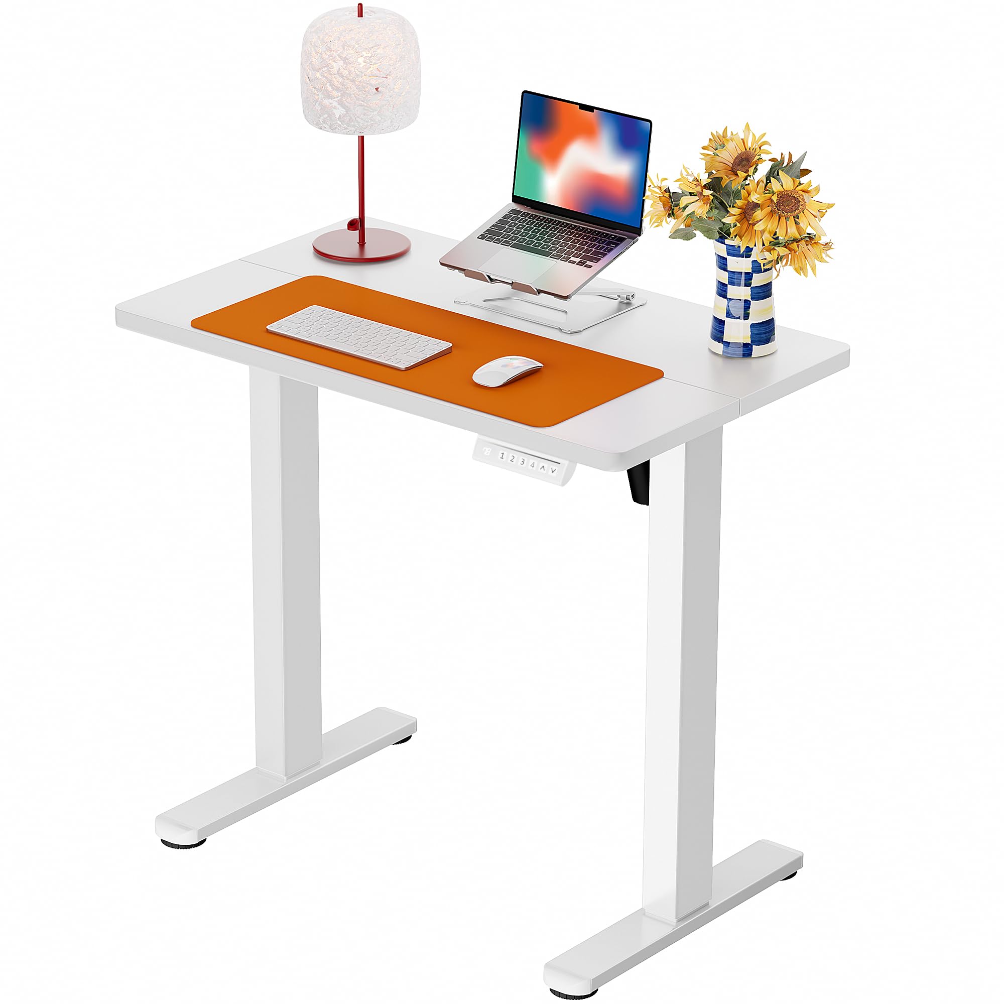 ErGear Height Adjustable Electric Standing Desk, 48 x 24 Inches Sit Stand up Desk, Memory Computer Home Office Desk, Black