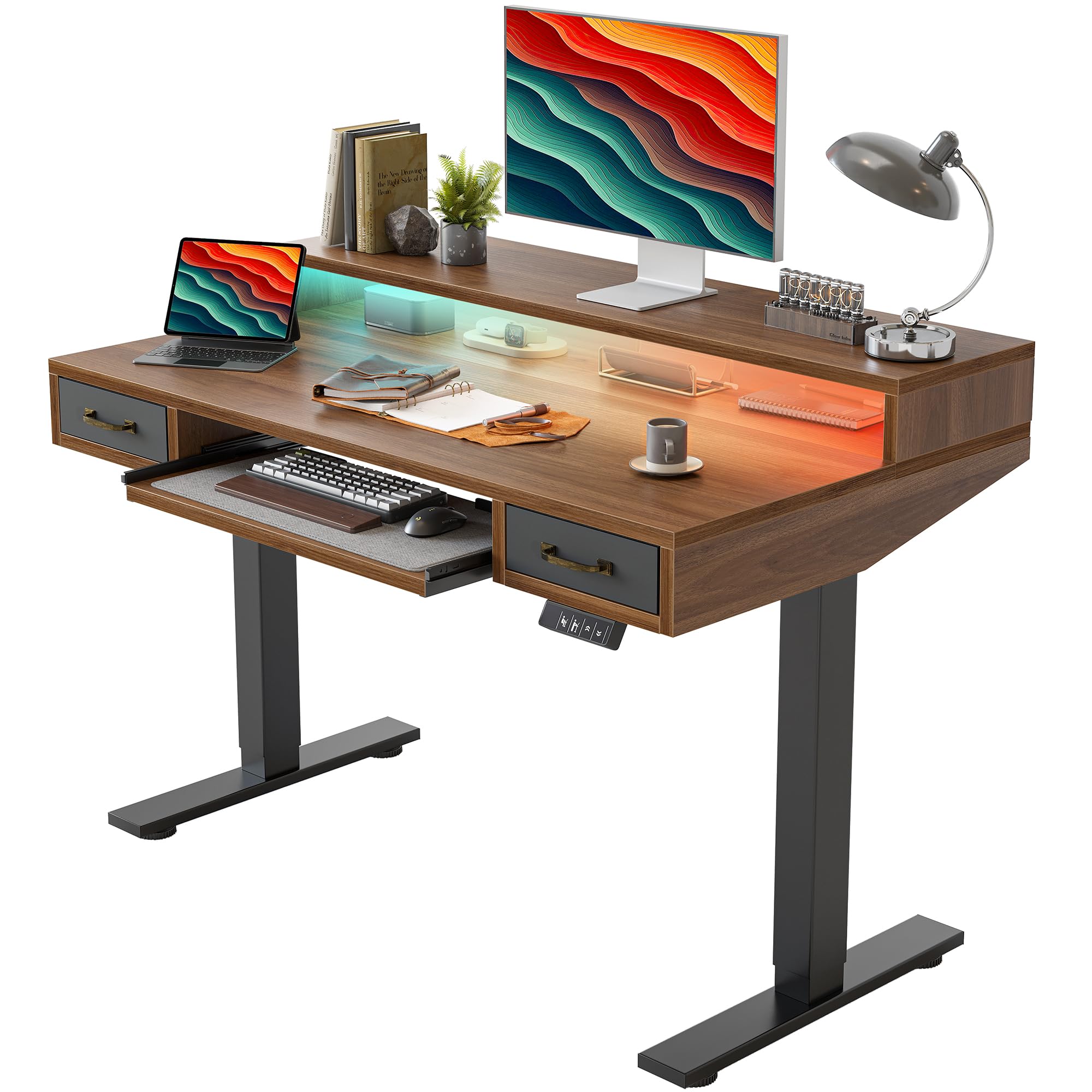 TIQLAB Standing Desk with Two Drawers, Stand Up Standing Desk Adjustable Height, Electric Sit Stand Table with Storage Shelf and Splice Board, 48 * 24 inch, Maple