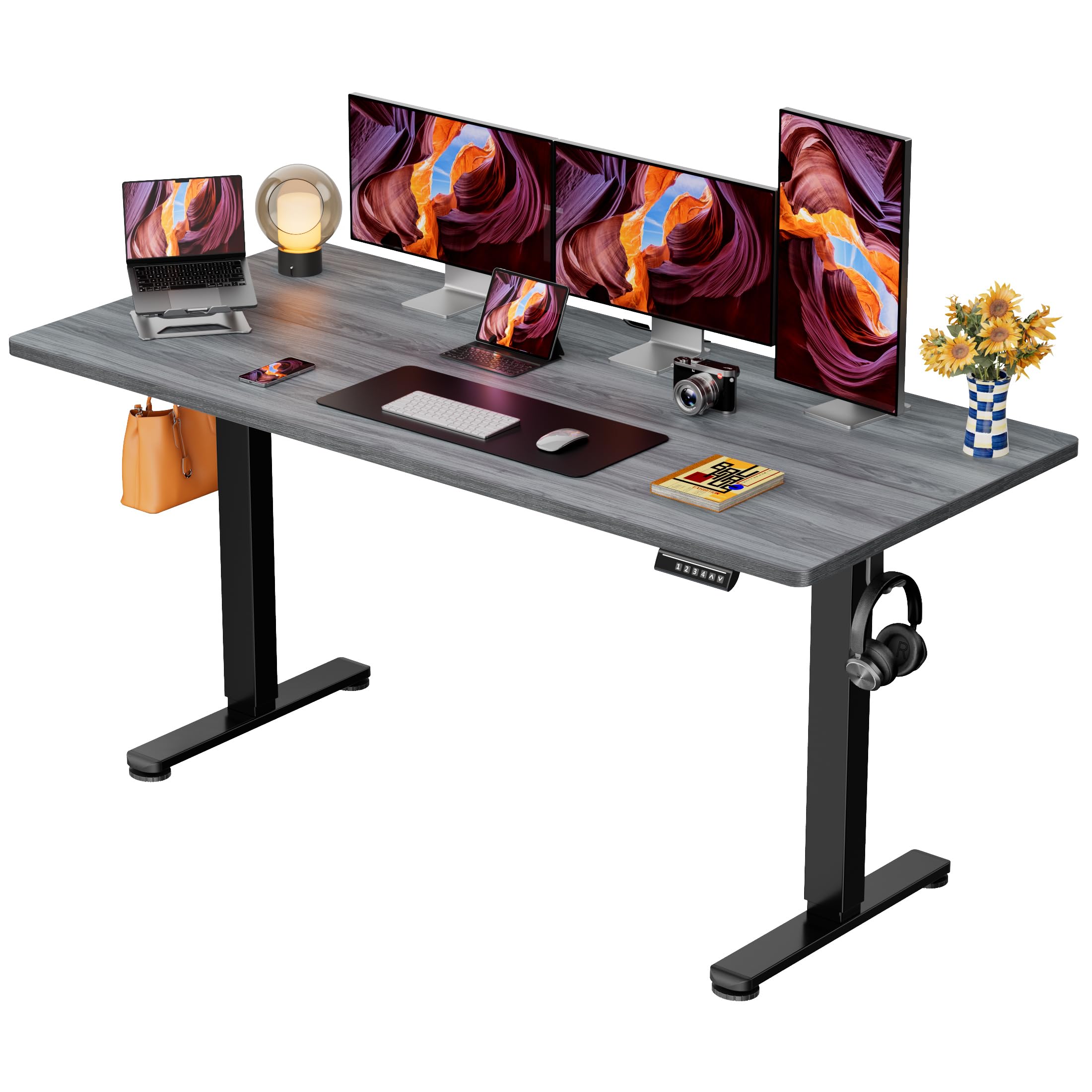 ErGear Height Adjustable Electric Standing Desk, 48 x 24 Inches Sit Stand up Desk, Memory Computer Home Office Desk, White