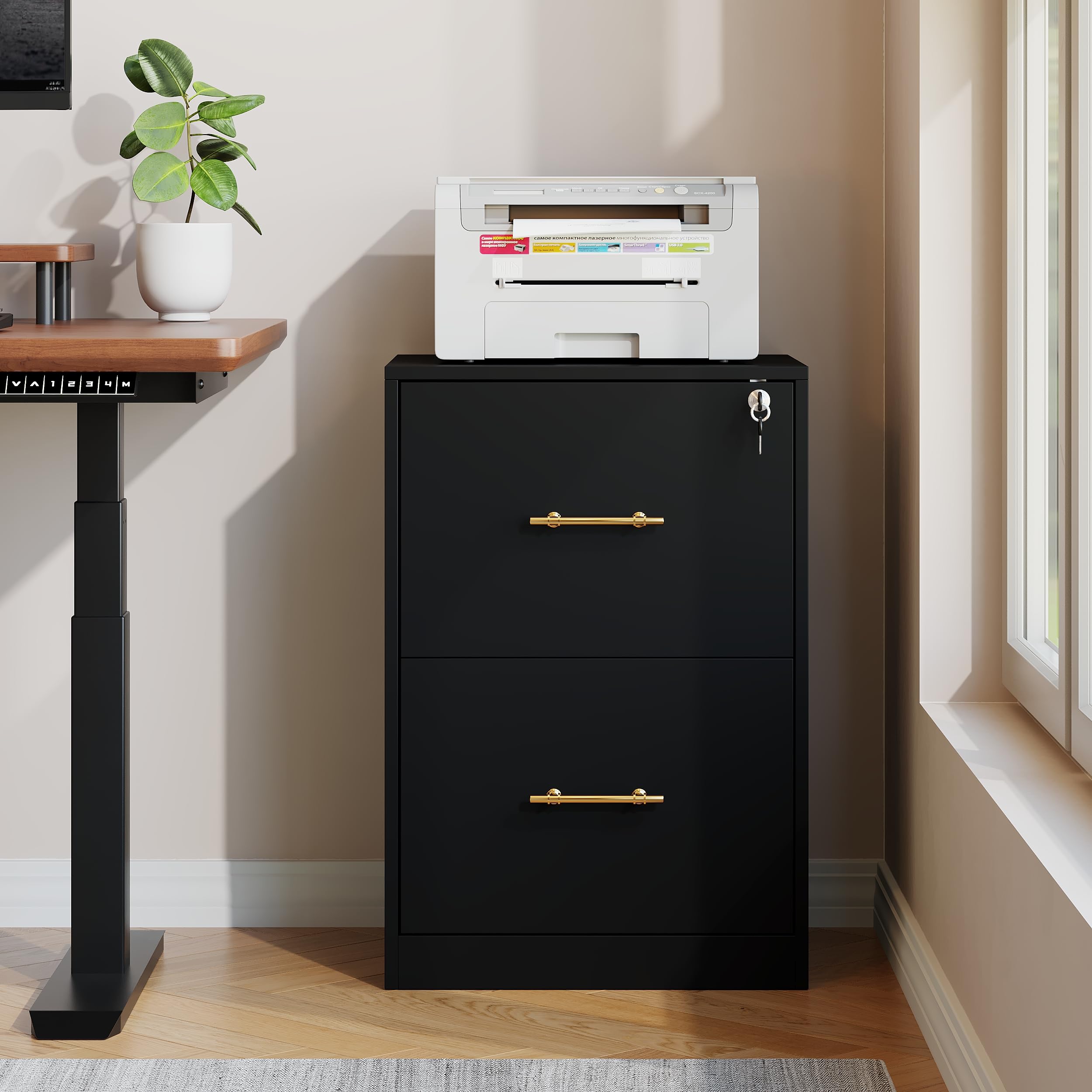 2 Drawer Lateral File Cabinet with Lock, Suitable for Letter/A4/F4/Legal Size Hanging Files,Large Wood Filing Storage Cabinets Printer Stand for Home Office,Black