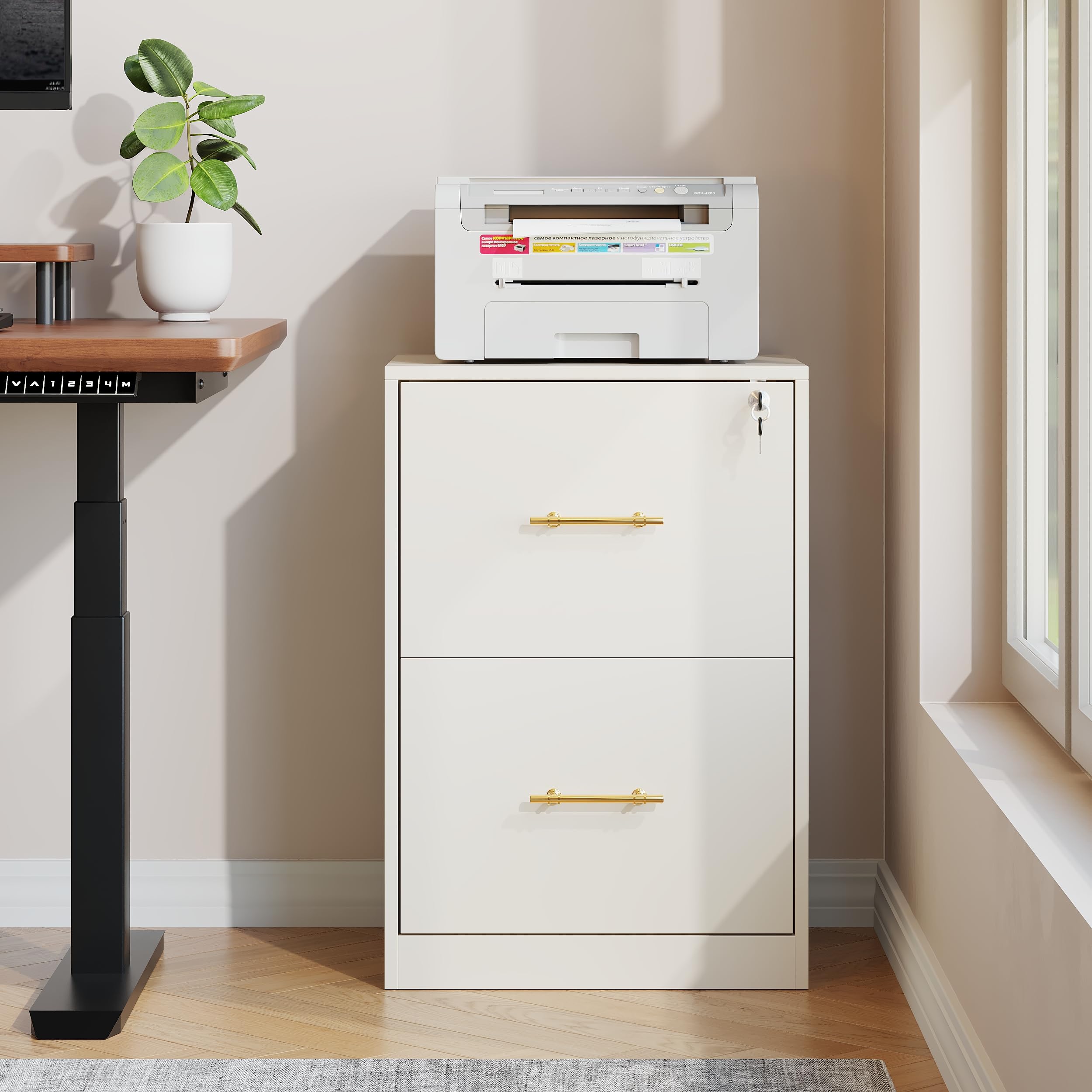 2 Drawer Lateral File Cabinet with Lock, Suitable for Letter/A4/F4/Legal Size Hanging Files,Large Wood Filing Storage Cabinets Printer Stand for Home Office,Black